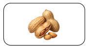 I like nuts. (ảnh 1)