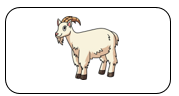 Read and tick. There’s a goat. (ảnh 2)