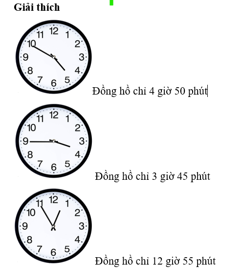 Đúng ghi Đ, sai ghi S. (ảnh 1)