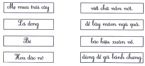 Nối đúng (1 điểm) (ảnh 1)