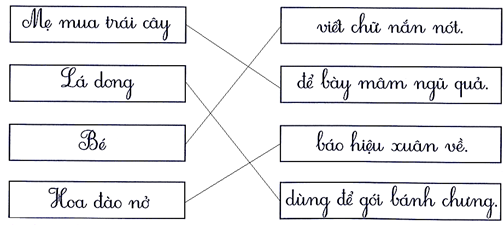 Nối đúng (1 điểm) (ảnh 2)