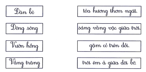 Nối đúng (1 điểm) (ảnh 1)