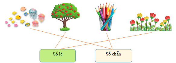 Nối c&aacute;c h&igrave;nh sau với đ&uacute;ng số m&agrave; ch&uacute;ng thể hiện: Số chẵn, Số lẻ (ảnh 2)