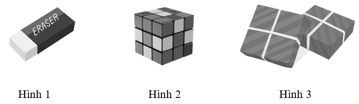 Quan sát hình sau và cho biết? (ảnh 1)
