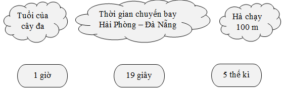 Chọn thời gian thích hợp cho mỗi sự việc. Tuổi của cây đa (ảnh 1)