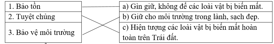  Đề cương ôn tập cuối kì 2 Tiếng Việt lớp 2 Chân trời sáng tạo (có đáp án) (ảnh 1)