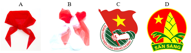 Chọn hình ảnh khăn quàng đỏ. (ảnh 1)