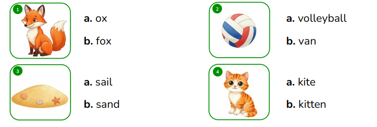 Read and choose. (1 point) (ảnh 1)