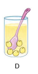 Hình nào dưới đây ứng với cốc nước có ít hạt sen nhất? (ảnh 4)