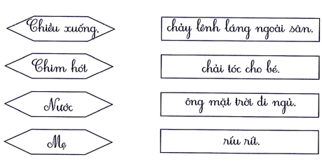 Nối đúng (1 điểm) (ảnh 1)