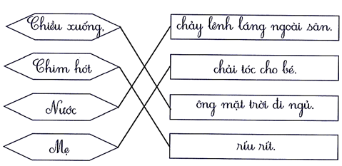 Nối đúng (1 điểm) (ảnh 2)