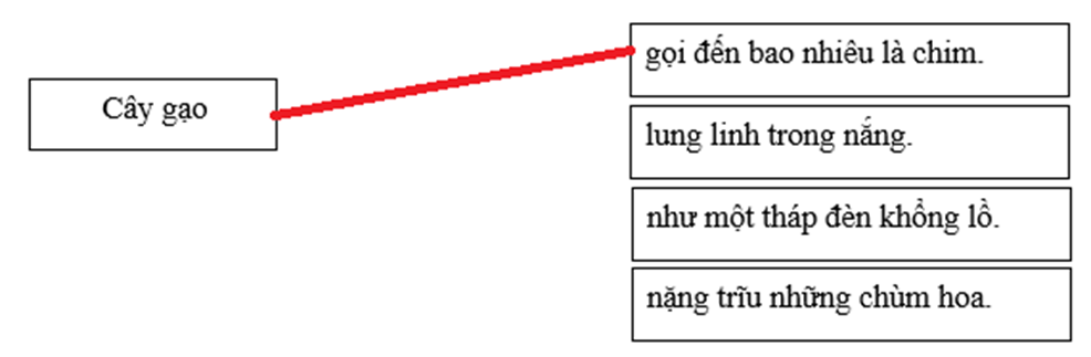 Từ ngữ nào trong bài văn cho ta thấy cây gạo có những cử chỉ giống như con người? Nối với đáp án em cho là đúng:    (ảnh 1)