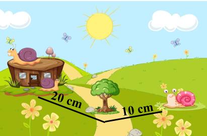Phiếu bài tập hàng ngày Toán lớp 2 Đề-xi-mét có đáp án (ảnh 2)