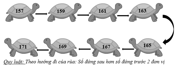 Rùa con mang số gì? (ảnh 2)