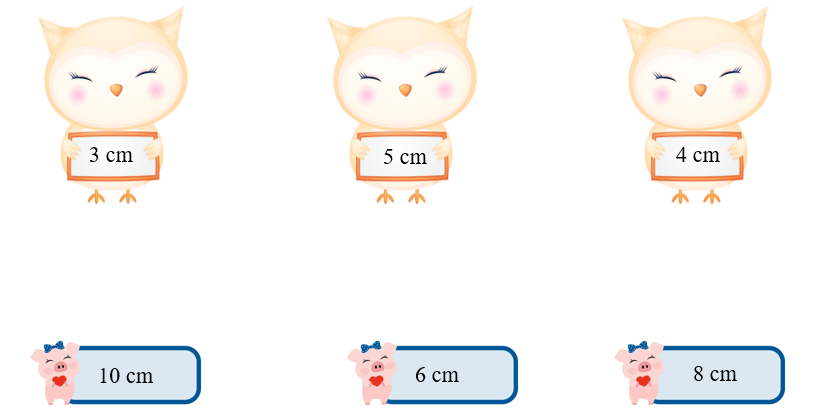 Nối các cặp bán kính với đường kính thích hợp. (ảnh 1)