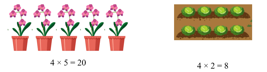 Viết phép nhân thích hợp với mỗi tranh vẽ: (ảnh 2)