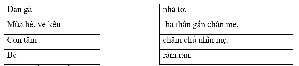 Nối đúng (1 điểm) (ảnh 1)
