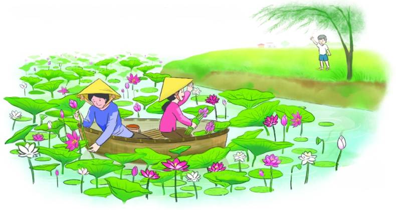 Giải B&agrave;i 2: Đọc Đầm sen Tiếng Việt 2 tập 2 Ch&acirc;n trời s&aacute;ng tạo | Tiếng Việt  2 - Ch&acirc;n trời s&aacute;ng tạo