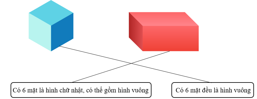 Nối các khối sau rồi nối với đặc điểm đúng. (ảnh 2)