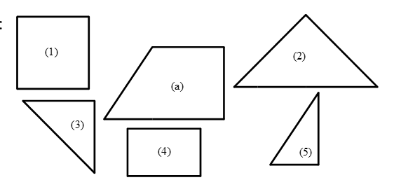 Hình (a) được ghép bởi: (ảnh 1)