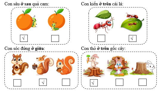 Điền √ vào ô trống cho thích hợp:  Con sâu ở sau quả cam:  	Con kiến ở trên cái lá:   (ảnh 2)