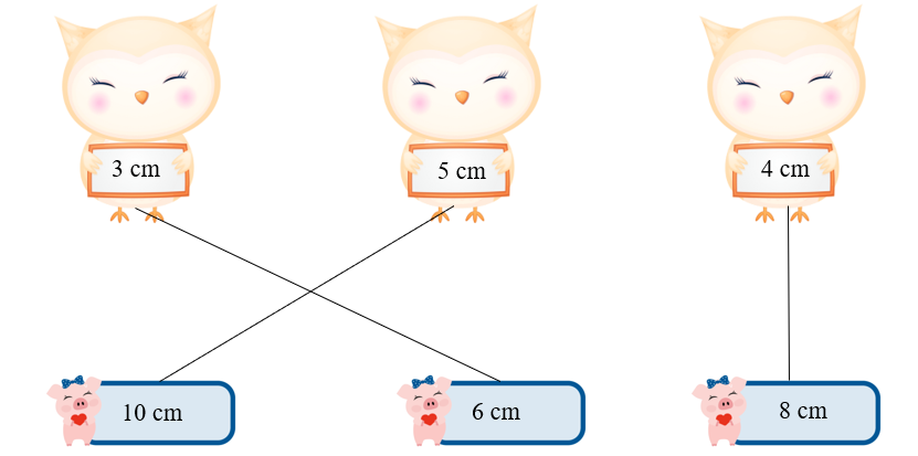 Nối các cặp bán kính với đường kính thích hợp. (ảnh 2)