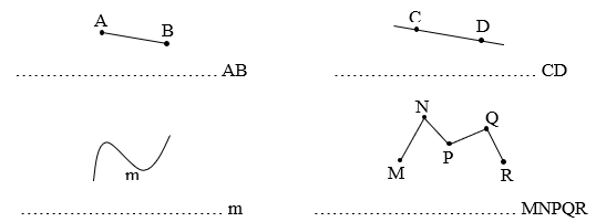 Quan sát các hình vẽ dưới đây rồi điền từ “đoạn thẳng”, “đường thẳng”, “đường cong”,  “đường gấp khúc” thích hợp vào chỗ chấm:   (ảnh 1)