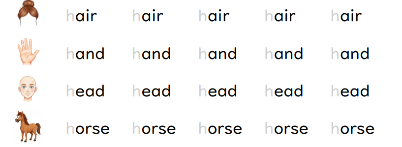 Trace the letters.  hair (ảnh 1)
