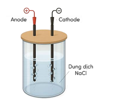 Một học sinh l&agrave;m th&iacute; nghiệm điện ph&acirc;n dung dịch NaCl. Bước 1. Lắp thiết bị th&iacute; nghiệm điện ph&acirc;n dung dịch NaCl với điện cực trơ như h&igrave;nh dưới đ&acirc;y: (ảnh 1)