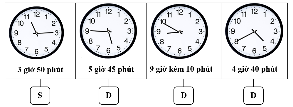 Đúng ghi Đ, sai ghi S.  (ảnh 2)