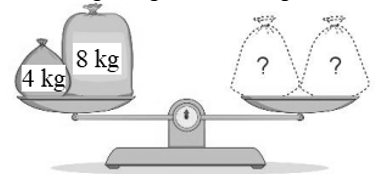 Hai túi gạo đặt lên đĩa bên phải để cân thăng bằng có cân nặng là: (ảnh 1)