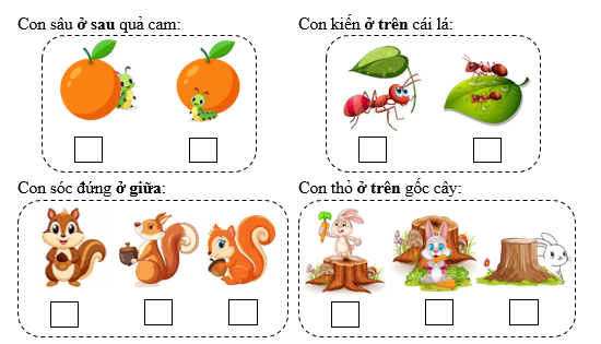 Điền √ vào ô trống cho thích hợp:  Con sâu ở sau quả cam:  	Con kiến ở trên cái lá:   (ảnh 1)