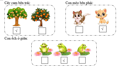 Điền dấu √ vào ô trống thích hợp:  Cây cam bên trái: (ảnh 2)