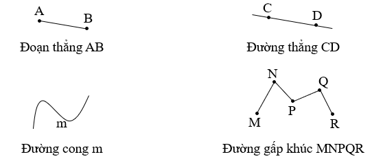 Quan sát các hình vẽ dưới đây rồi điền từ “đoạn thẳng”, “đường thẳng”, “đường cong”,  “đường gấp khúc” thích hợp vào chỗ chấm:   (ảnh 2)