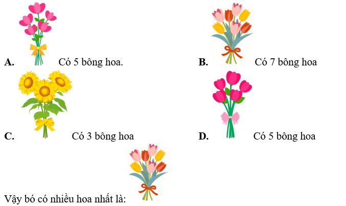 Bó có nhiều hoa nhất là: (ảnh 1)