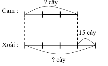Giải bài toán sau. Trong một vườn cây, số cây xoài nhiều hơn số cây cam là 15 cây. Số cây cam bằng 3/4 số cây xoài. Hỏi có bao nhiêu cây xoài, bao nhiêu cây cam trong vườn? (ảnh 1)
