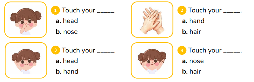 Look and choose.  Touch your _____. a. head b. nose (ảnh 1)