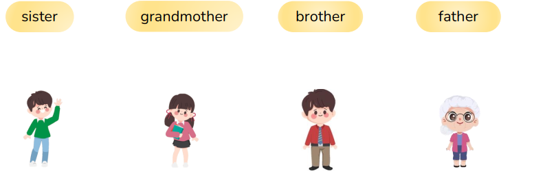 Look and match.  (ảnh 1)