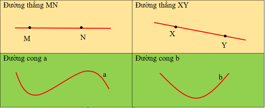 Phiếu bài tập hàng ngày Toán lớp 2 Đường thẳng - Đường cong có đáp án (ảnh 1)