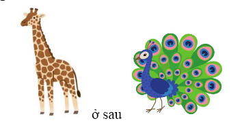  Bài tập cuối Tuần 1 Toán lớp 1 Chân trời sáng tạo có đáp án (ảnh 2)
