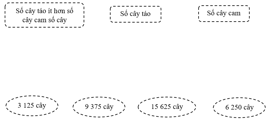 Nối. Trong một khu vườn, có tổng cộng 25 000 cây gồm cây táo và cây cam. Số cây táo bằng 3/5 số cây cam. Hỏi số cây táo ít hơn số cây cam bao nhiêu cây? (ảnh 1)