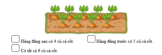 Đúng ghi Đ, sai ghi S: Hàng đằng sau có 4 củ cà rốt.              Hàng đằng trước có 5 củ cà rốt.   Có tất cả 9 củ cà rốt. (ảnh 1)