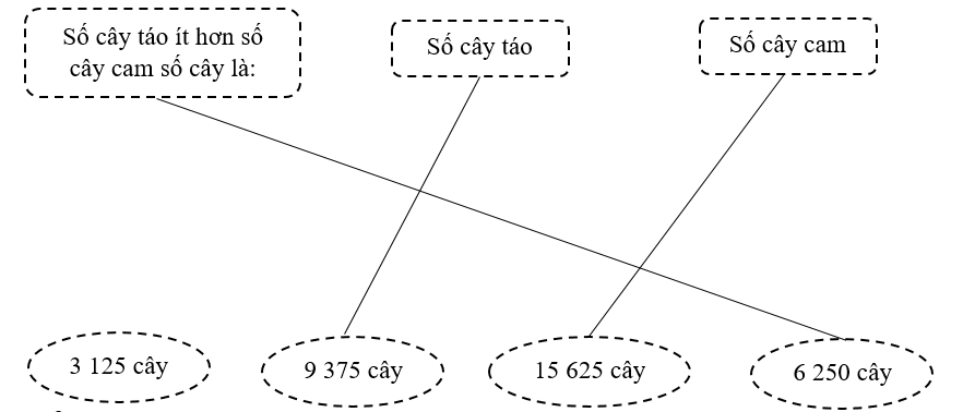 Nối. Trong một khu vườn, có tổng cộng 25 000 cây gồm cây táo và cây cam. Số cây táo bằng 3/5 số cây cam. Hỏi số cây táo ít hơn số cây cam bao nhiêu cây? (ảnh 2)