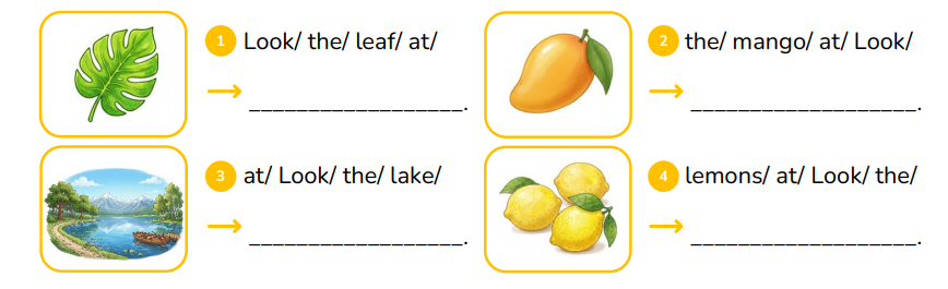 Reorder the letters. Look/ the/ leaf/ at/   __________________. (ảnh 1)