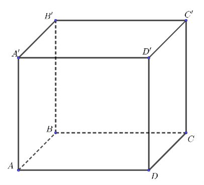 Chọn C  Ta c&oacute; \(\overrightarrow {BA}&nbsp; + \overrigh (ảnh 1)