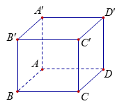 Chọn D Ta c&oacute; mặt phẳng \(\left( {ABCD} \right)\) vu&ocirc;ng g&oacute;c với đường thẳng \(BB'\). (ảnh 1)