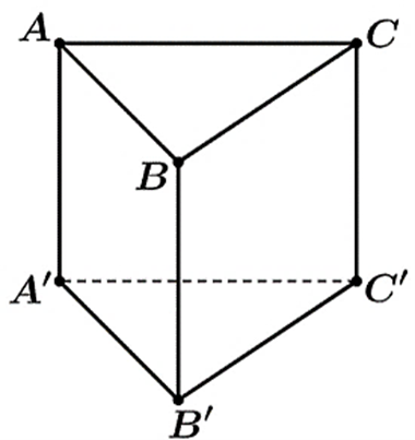 C&acirc;u 3:	Cho lăng trụ đều \[ABC.A'B'C'\]. G&oacute;c giữa hai vectơ \[\overrightarrow {BA} \] v&agrave; \[\overrightarrow {C'B'} \] bằng bao nhi&ecirc;u?   (ảnh 1)
