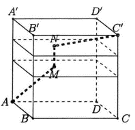 Đ&aacute;p &aacute;n: 20     Gắn hệ trục \(O\,xyz\) như h&igrave;nh vẽ, ta c&oacute; toạ độ c&aacute;c điểm l&agrave;: (ảnh 1)
