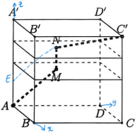 Đ&aacute;p &aacute;n: 20     Gắn hệ trục \(O\,xyz\) như h&igrave;nh vẽ, ta c&oacute; toạ độ c&aacute;c điểm l&agrave;: (ảnh 2)