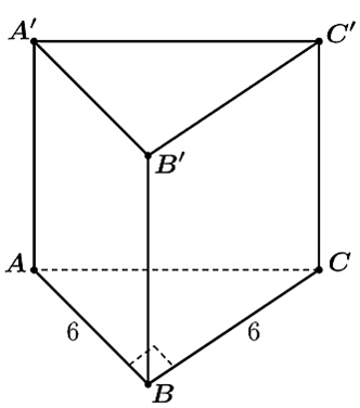  Đáp án đúng là D (ảnh 1)